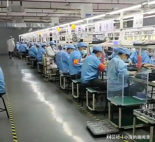 985名校畢業(yè)，三個月蟬聯(lián)二手包銷售冠軍 學霸的跨界逆襲